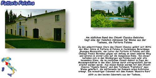 Fattoria Felsina