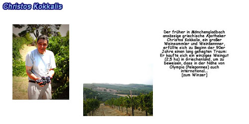 Christos Kokkalis